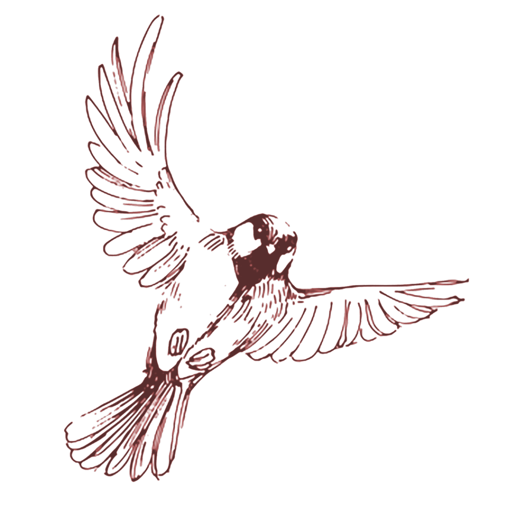 Johnston's Bird Seed - Attract Ontario's Birds to Your Backyard - Wholesale Bird Seed Supplier in Ontario